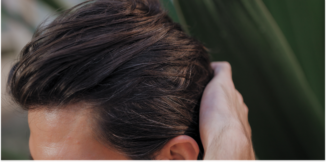 Die 4 Säulen der Haargesundheit